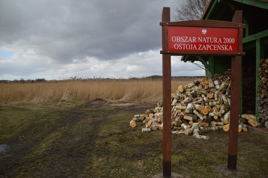 Pracownicy gminy Lipnica palili opony nad jeziorem – alarmują czytelnicy. Sprawdziliśmy!