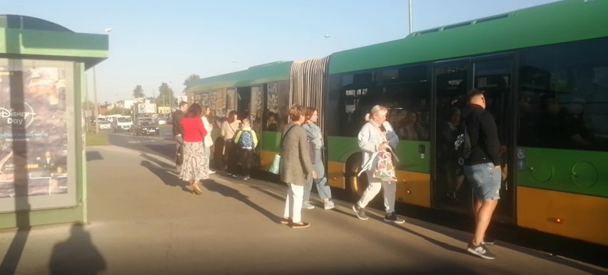 Linie autobusowe przy trasie PST jeździły rano na czas i bez...