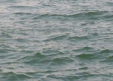 Tragedia na zalewie w Koszorowie w gminie Chlewiska. Utopił się 22-letni mężczyzna