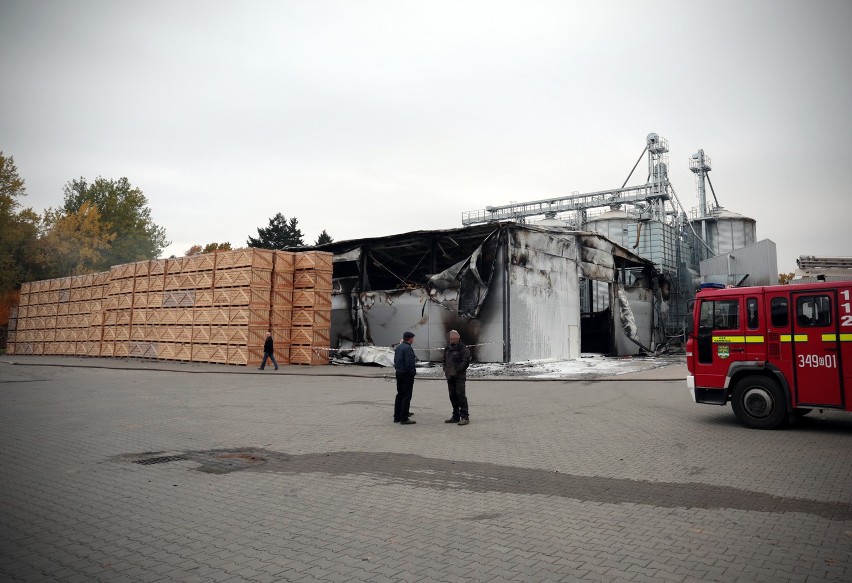 Pożar hali magazynowej w podsłupskich Jezierzycach