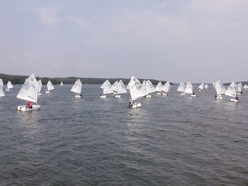 Energa Sailing Cup. Najmłodsi żeglarze walczyli w Charzykowach [ZDJĘCIA]