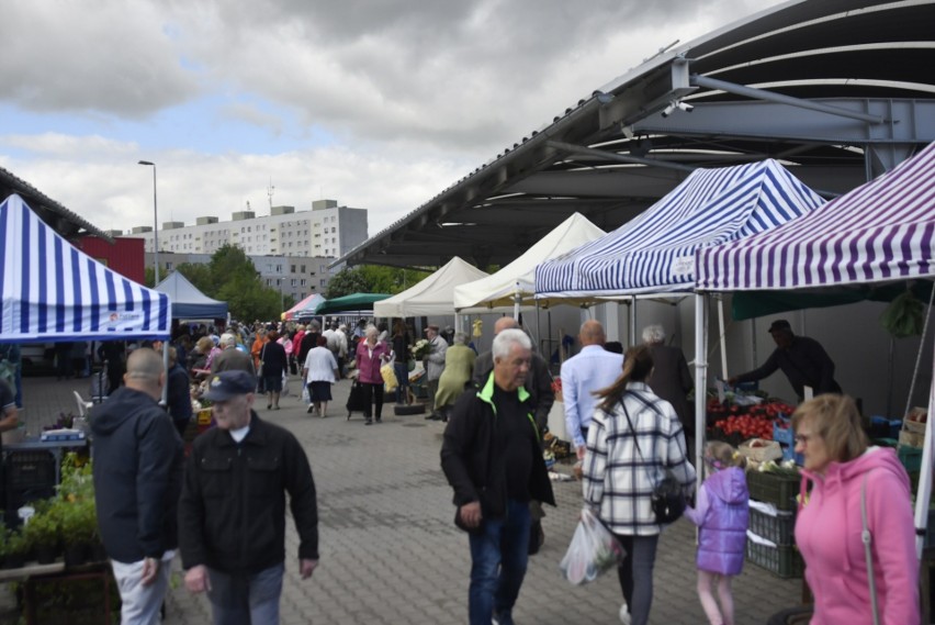 Wietrzna pogoda nie zakłóciła handlu na targowisku przy Śląskiej w Radomiu w sobotę 21 maja. Klientów nie brakowało - zobacz zdjęcia 
