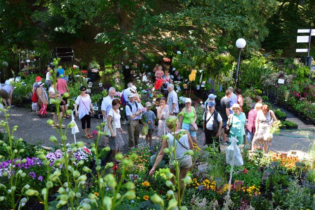 Podczas imprezy w kwiaty, rośliny ogrodowe, doniczkowe i zioła zaopatrują się nie tylko Polacy, ale również Czesi, którzy od kilku lat tłumne przybywają do Otmuchowa.