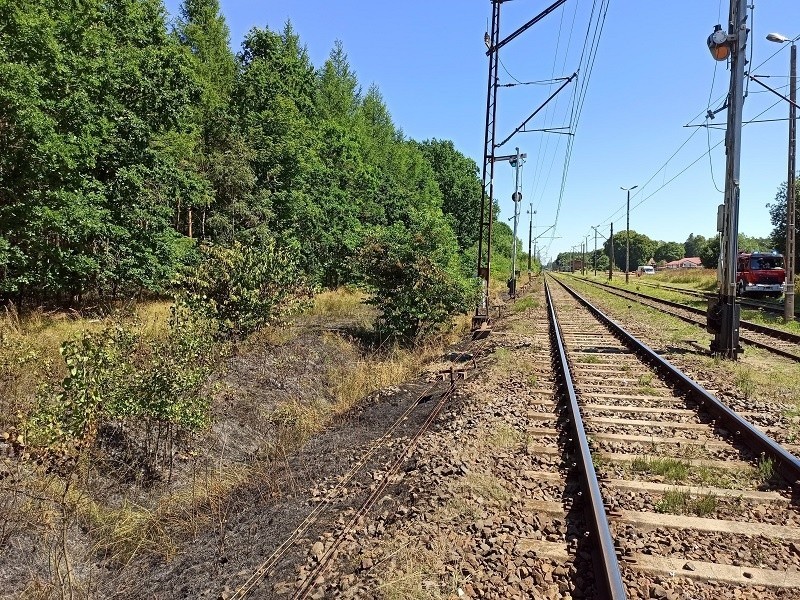 Pożary w powiecie białogardzkim