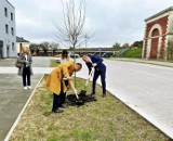 Czysto, bez wertepów, bardziej przestrzennie. Poważne zmiany nie tylko na placu Stefanidesa