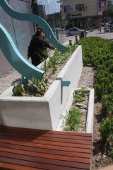 W Gdyni powstał Ogród Deszczowy promujący ekologiczne rozwiązania [zdjęcia]