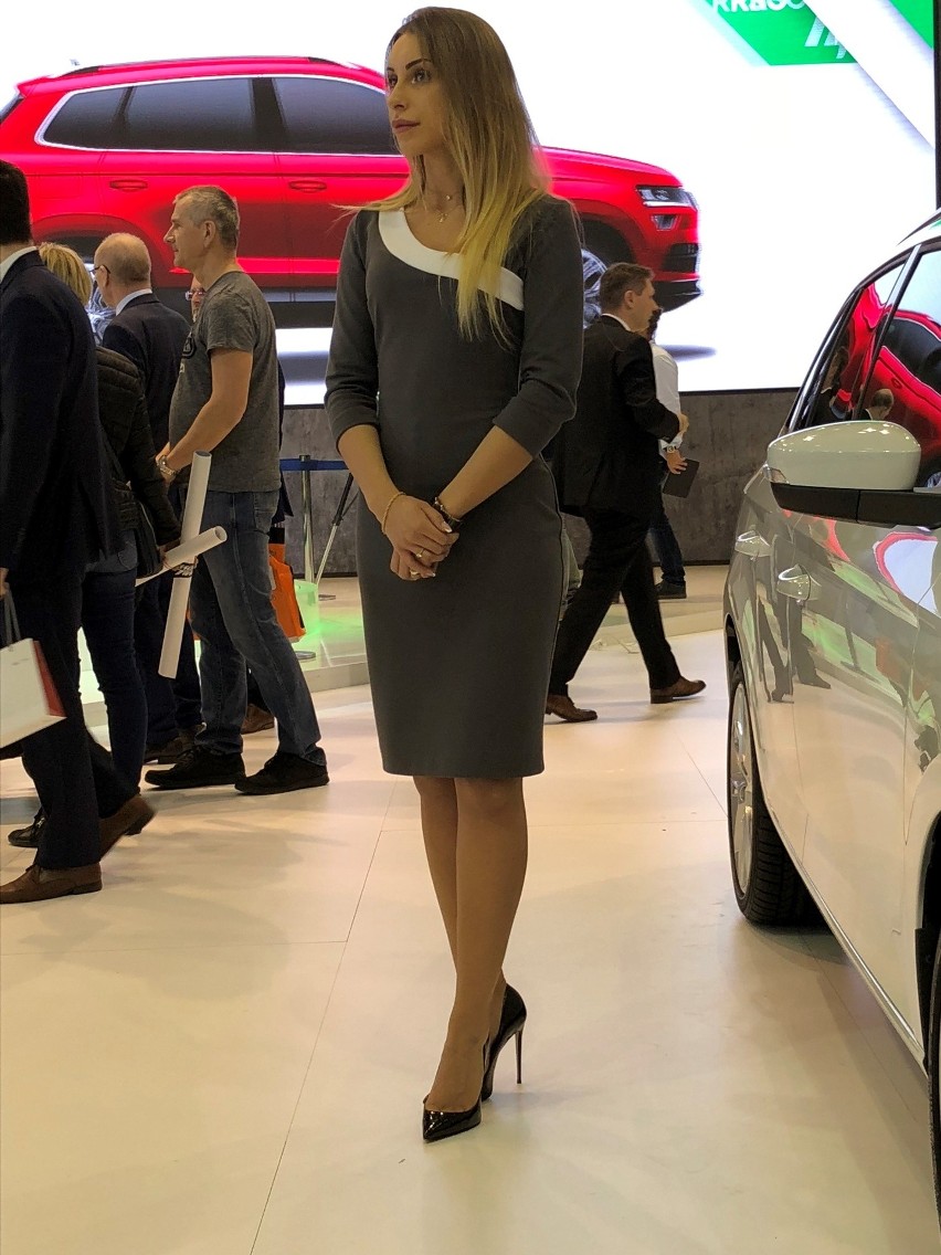 Poznań Motor Show 2018...