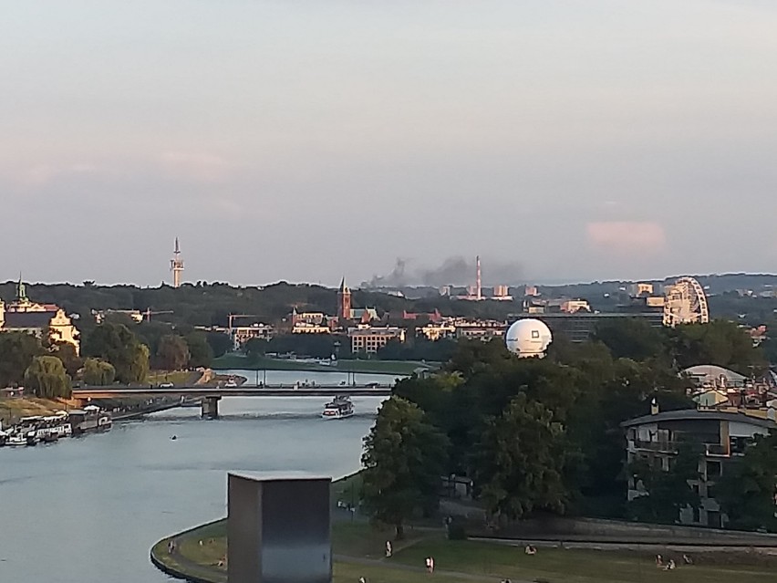 Kraków. Ogień w lasku w rejonie Bonarki. Płonęły śmieci i legowisko bezdomnych [ZDJĘCIA]