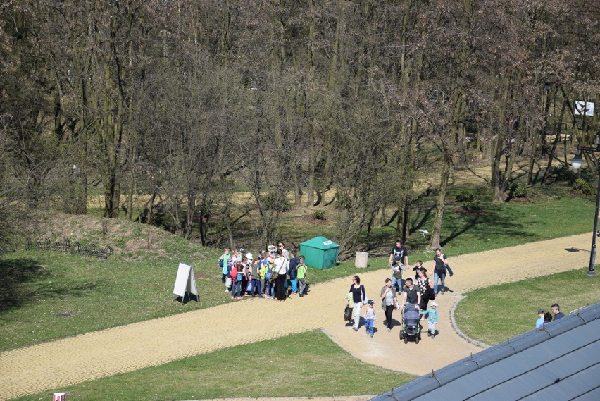 Śląski Ogród Botaniczny. Międzynarodowy Dzień Ptaków