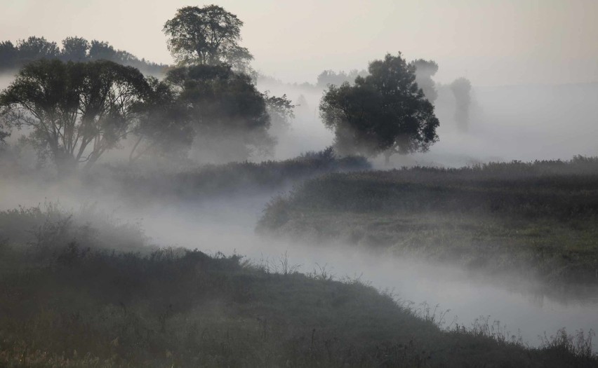 Ogromna wieża widokowa stanie niedaleko rzeki Narew. Stąd będzie można podziwiać piękno przyrody [ZDJĘCIA]