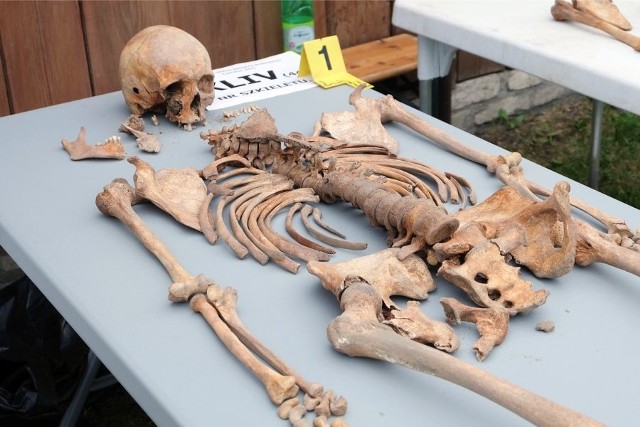 Kilkanaście ludzkich szkieletów zostało wykopanych w tym tygodniu w areszcie w Białymstoku