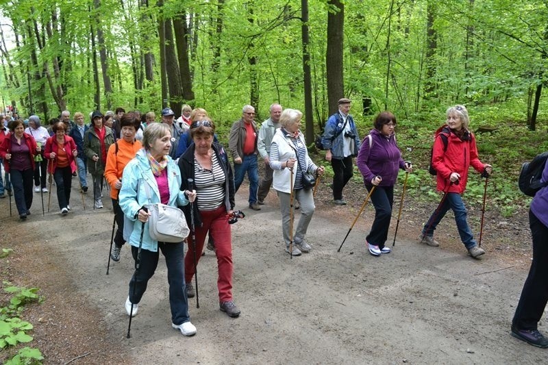 Bielsko-Biała: seniorzy włączyli się w ogólnopolski marsz UTW 2015 [ZDJĘCIA]