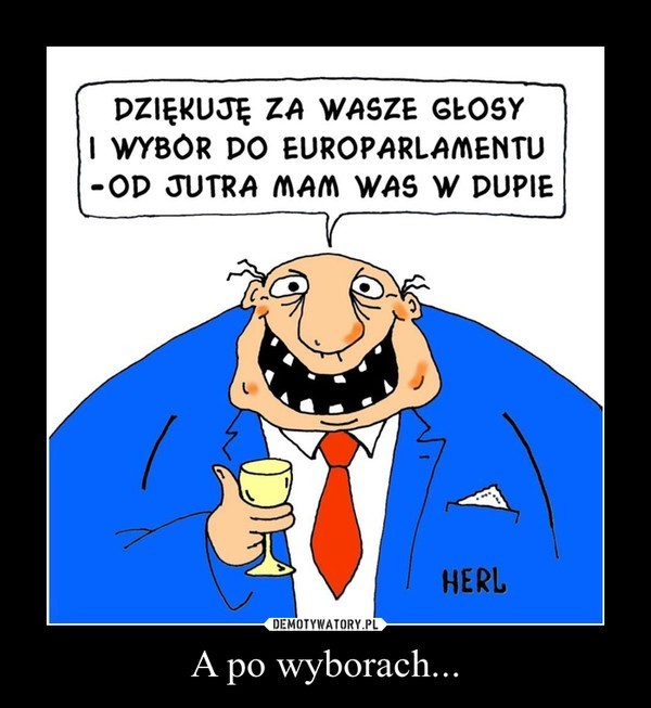 Eurowybory 2014 na demotywatorach: Zobacz jak zareagował...
