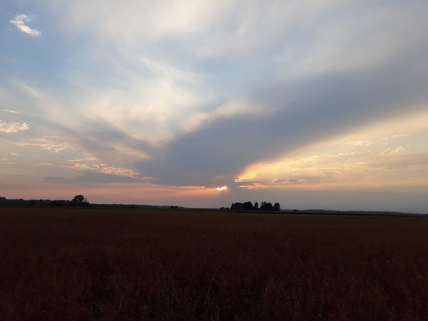 Światowy Dzień Fotografii - oto zdjęcia, z które zrobili nasi czytelnicy i są z nich dumni [ZDJĘCIA] 