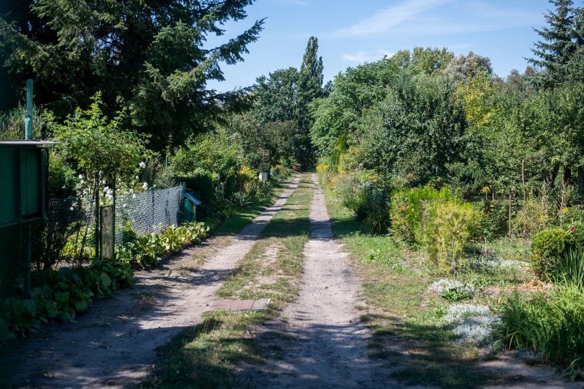 Nowe przepisy stanowią, że zarządcy nieruchomości...