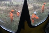 Pociąg Kolei Śląskich uderzył w drzewo leżące na torach. Ewakuowano 105 pasażerów. Wstrzymano ruch pociągów na trasie Katowice-Racibórz 