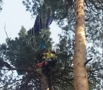 Spadochroniarz na drzewie w Rybniku