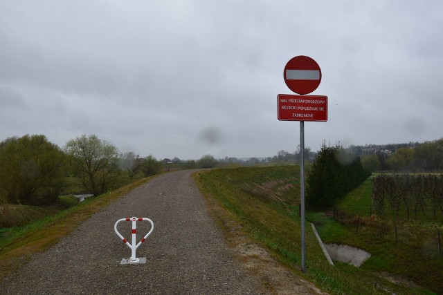 Przez gminy Łoniów, Koprzywnicę i Samborzec przez Sandomierz do Dwikóz trasa rowerowa będzie prowadziła koronami wałów wiślanych. Na zdjęciu wjazd na koronę wałów pod Sandomierzem.