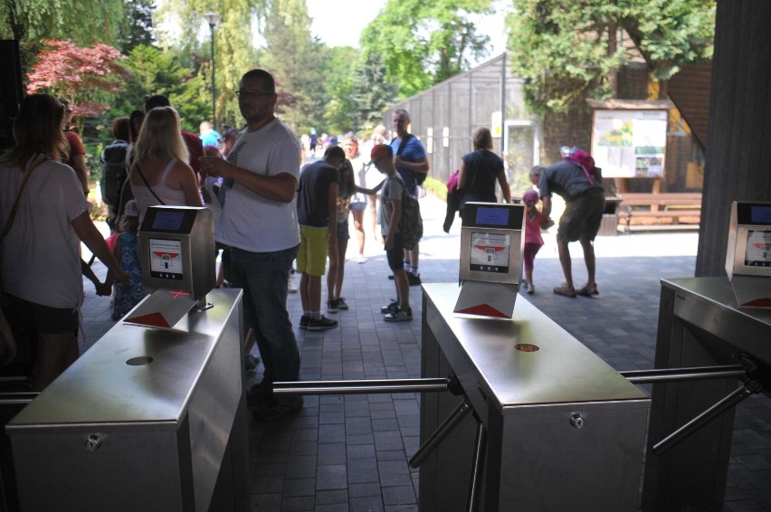 Na drodze do krakowskiego zoo powstanie rondo 