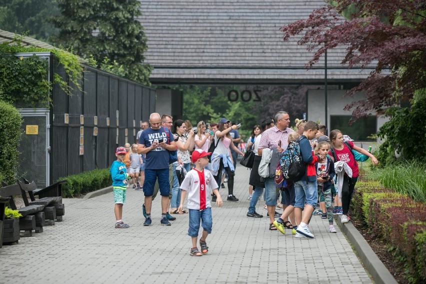 Na drodze do krakowskiego zoo powstanie rondo 