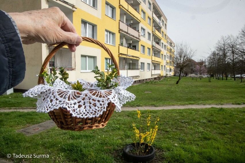 W parafiach Stargardu, podobnie jak w innych częściach...