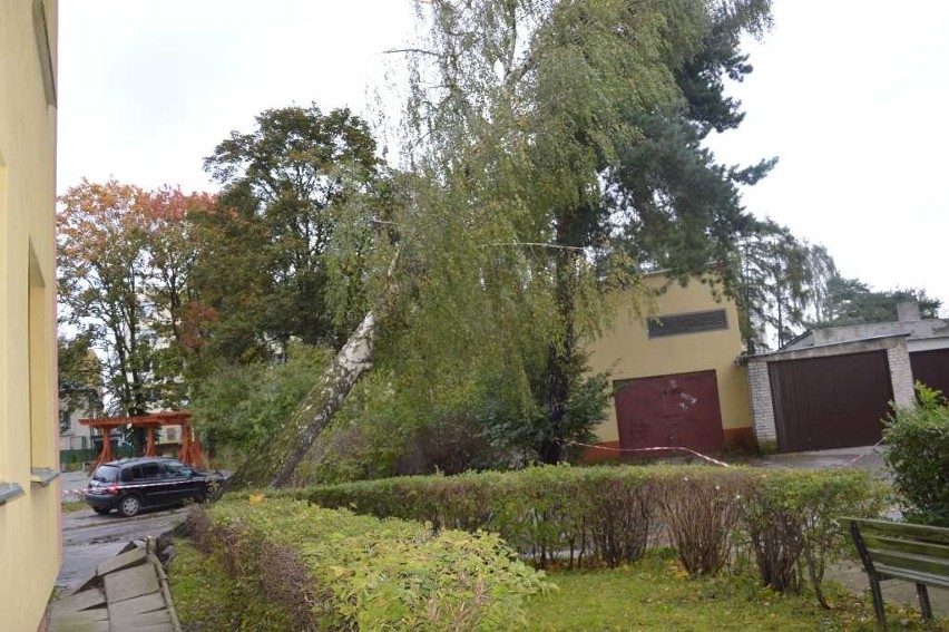 Spustoszenia po Xavierze! Zablokowane drogi w powiecie starachowickim. Drzewo spadło na jadące auto