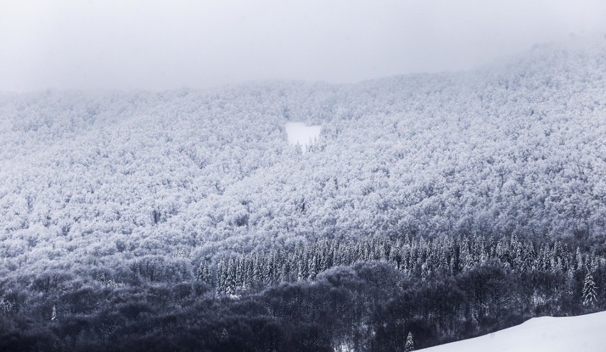 Bieszczady zimą są wyjątkowo piękne. Nie dziwi więc, że tak...