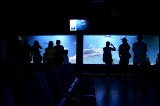 Oceanarium w Chrustach ma nowego lokatora. W sobotę widowiskowy pokaz