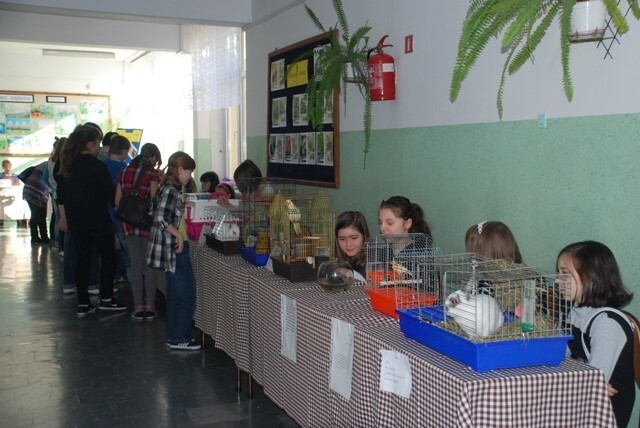 Uczniowie szkoły podstawowej numer 9 przygotowali wystawę zwierząt w szkole.