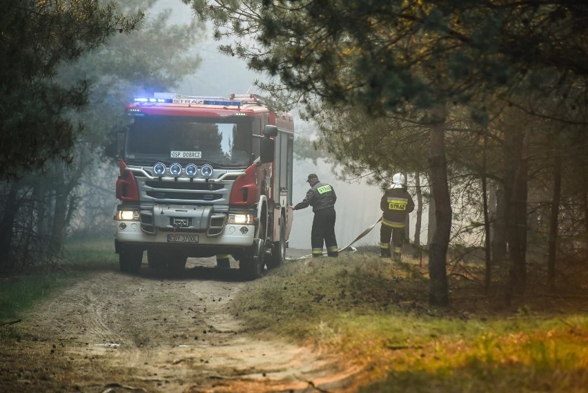 Pożar lasu w okolicach Doliny Śmierci w Fordonie. Zapalił...