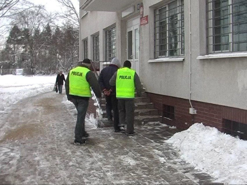 Policja zabezpieczyła sto działek marihuany w domku jednorodzinnym w Białych Błotach [wideo]