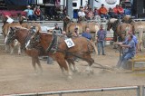 Świętokrzyscy klubowicze 4H na największym rolniczym święcie Indiany. Było rodeo i mnóstwo atrakcji