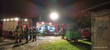 Pożar na fermie drobiu w Żarówce koło Mielca. Zginęło około siedem tysięcy indyków 