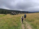 Wywłaszczenia w Tatrach. Hale i polany nie wrócą do górali, choć nadal wiele wniosków czeka na rozpatrzenie