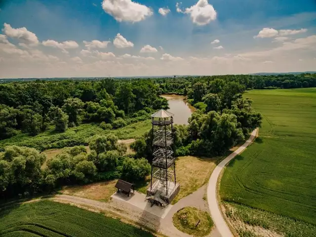 Graniczne Meandry OdryGraniczne Meandry Odry to jedno z intrygujących i chronionych miejsc, rozlokowanych na brzegach rzeki Odry w obszarze Chałupek oraz ujścia rzeki Olzy. Ten nieuregulowany odcinek rzeki charakteryzuje się malowniczymi meandrami, otoczonymi łąkami i lasami, co czyni go cennym terenem przyrodniczym. Kręte koryto rzeki i jej najbliższe otoczenie zostały uwzględnione w sieci Natura 2000. Aktualnie realizowana przez samorządy oraz ekologiczną fundację koncepcja ma na celu harmonizację ochrony przyrody z racjonalnym użytkowaniem doliny.