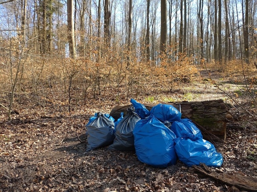 Śmieci zbierano także w kolbudzkim lesie i sołectwach