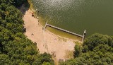 Sinice w Jeziorze Obłęskim. Kąpielisko zostało zamknięte do odwołania
