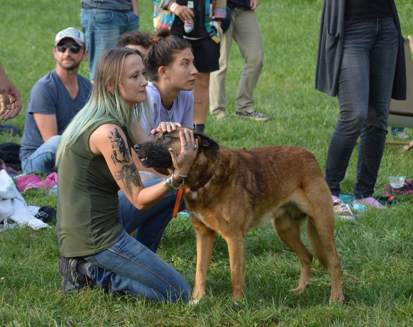 Miechowski Gadafest po raz kolejny zgromadził amatorów muzyki, która „płynie z trzewi” 