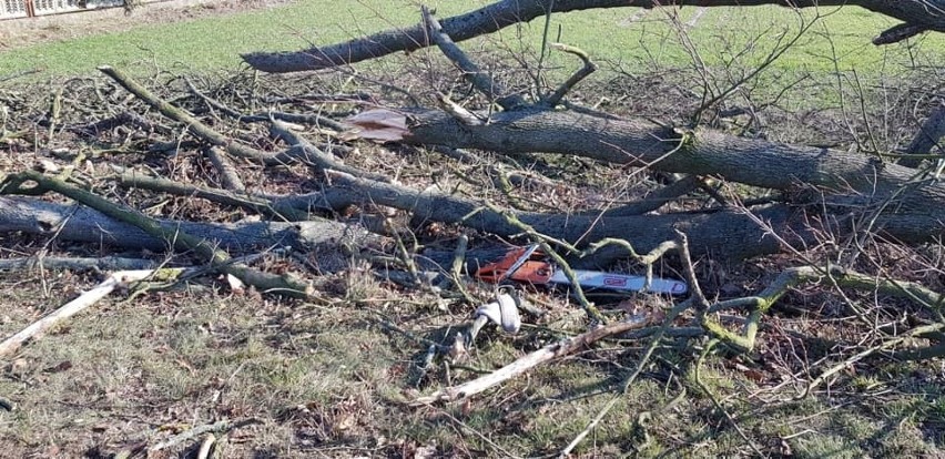 Wypadek podczas wycinki drzewa w Brynicy.