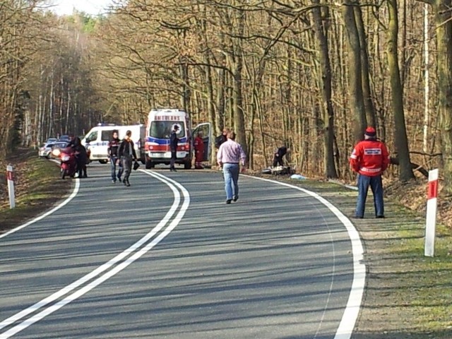 Na drodze krajowej numer 31 prowadzącej z Gryfina do Lisiego Pola doszło do wypadku. Motocyklista wjechał w drzewo.