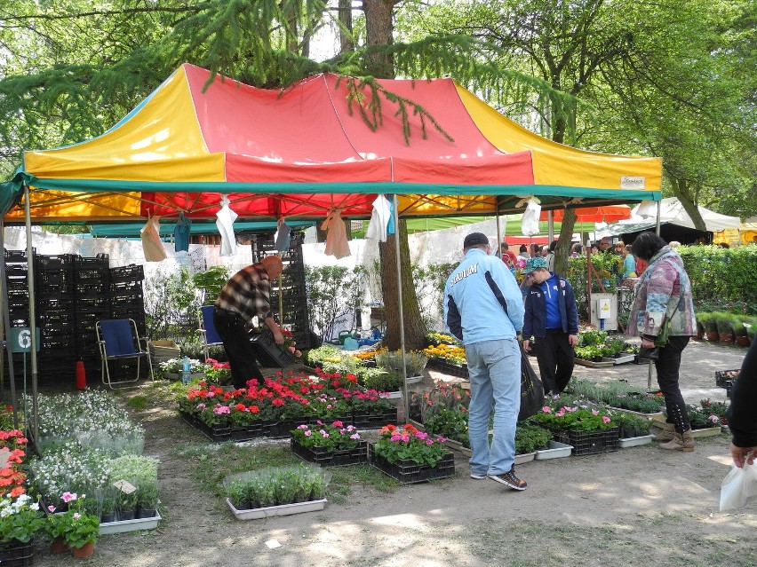 W Słupsku trwają targi rolno-kwiatowe w Słupsku (zdjęcia)