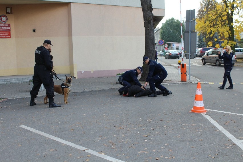 Terrorysta zaatakował Sanepid w Aleksandrowie Kujawskim - ćwiczenia Kobra - 19 [zdjęcia]