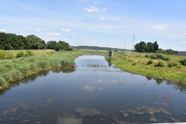 Kanał Ulgi został zbudowany, by odprowadzać nadmiar wód z Warty.