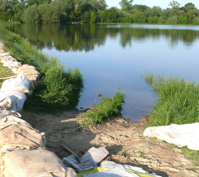 W ciągu dwóch dni woda na rzece Kamienna w Marianowie w gminie Solec nad Wisłą opadła o około 50 centymetrów.