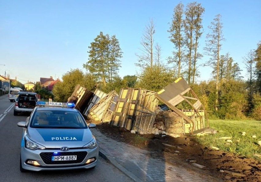 Janów. Ciężarówka z kurczakami wywróciła się w rowie....