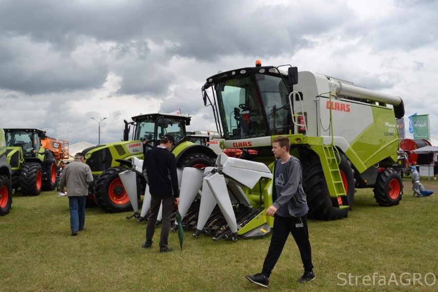 Zobacz, co działo się na największych targach w województwie. AGRO-TECH Minikowo 2017 [zdjęcia]