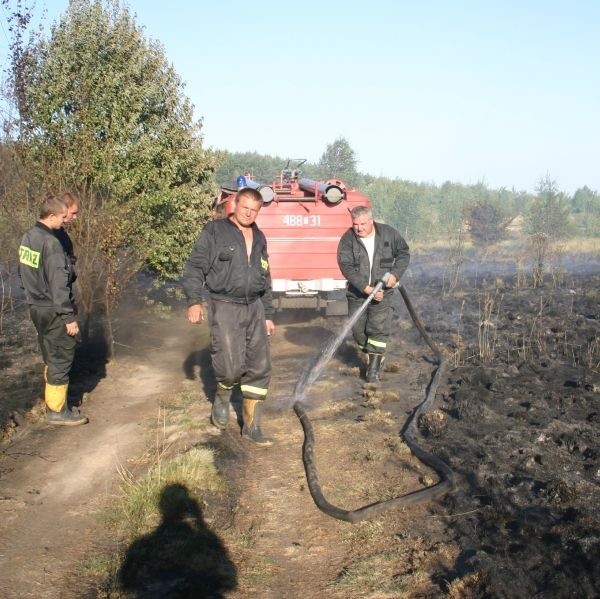 W Grzybowej Górze spaliło się pół hektara nieużytków.
