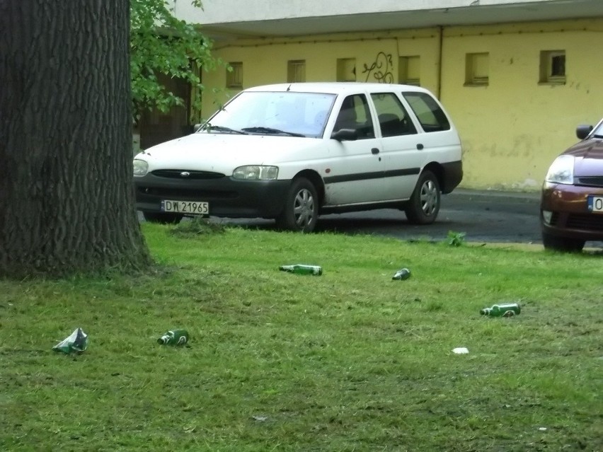 Wielkie sprzątanie na Wittigowie. Studenci dali pracę wrocławianom (ZDJĘCIA)