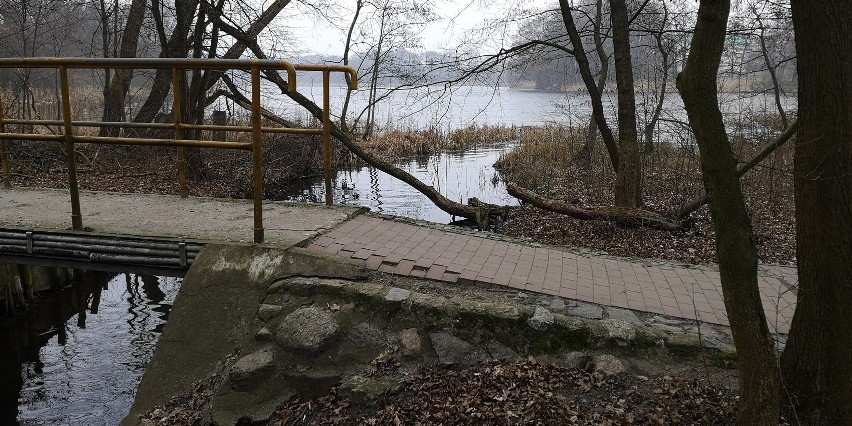 Mały mostek blokuje rozwój turystyk w Choszcznie. Senator interweniuje na prośbę przedsiębiorców