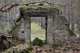 Mroczna tajemnica lubuskiego lasu. Te ruiny nawet dziś robią straszne wrażenie...